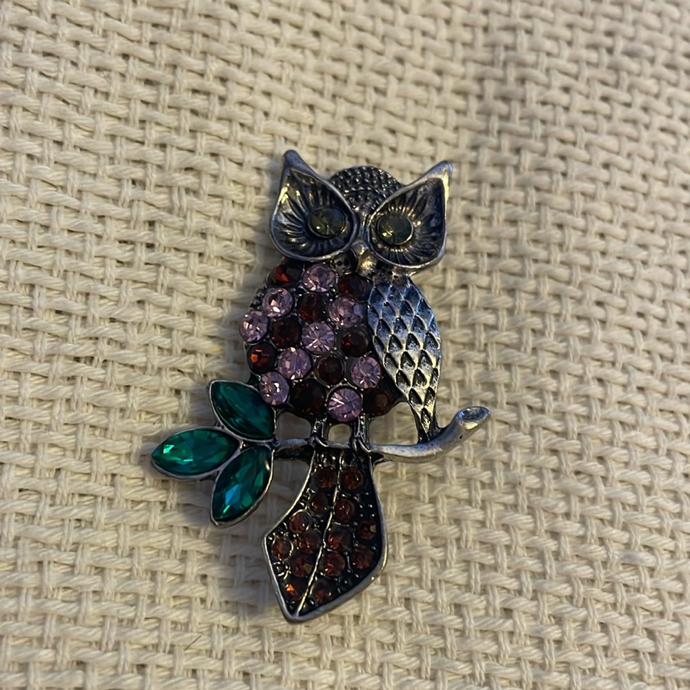 NWOT Owl Brooch